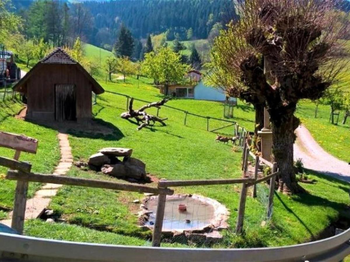 Ferienwohnungen Maierhof Oberried Оберрид Экстерьер фото