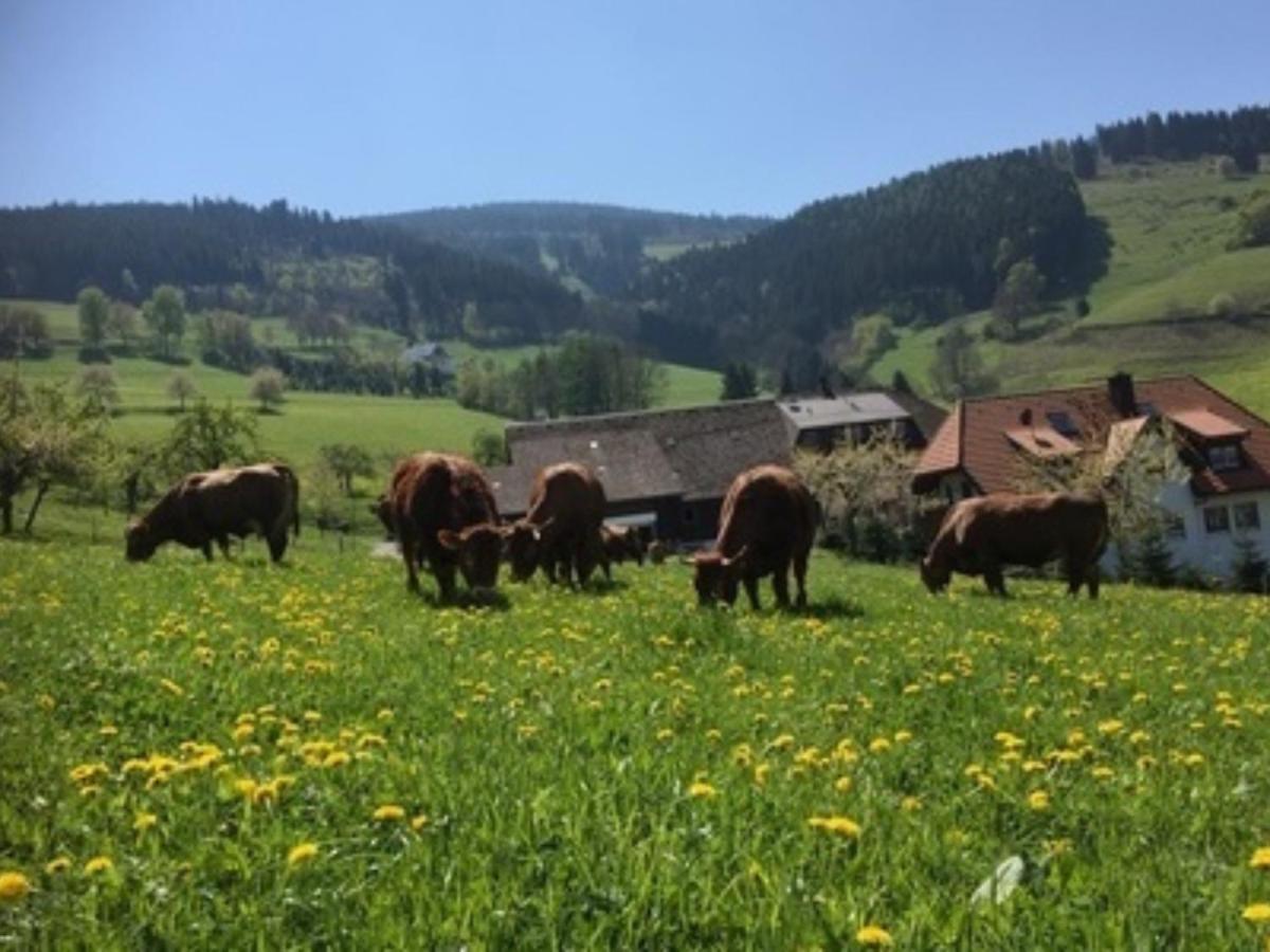 Ferienwohnungen Maierhof Oberried Оберрид Экстерьер фото